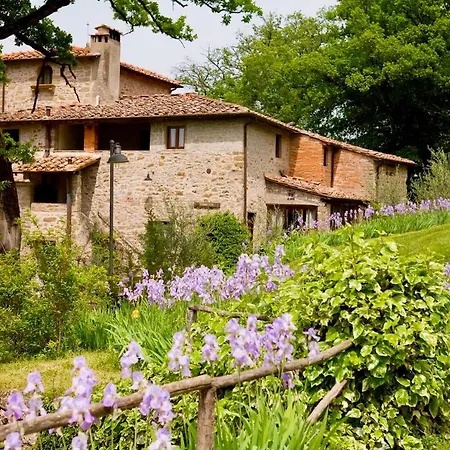 Con Piscina A Appartamento